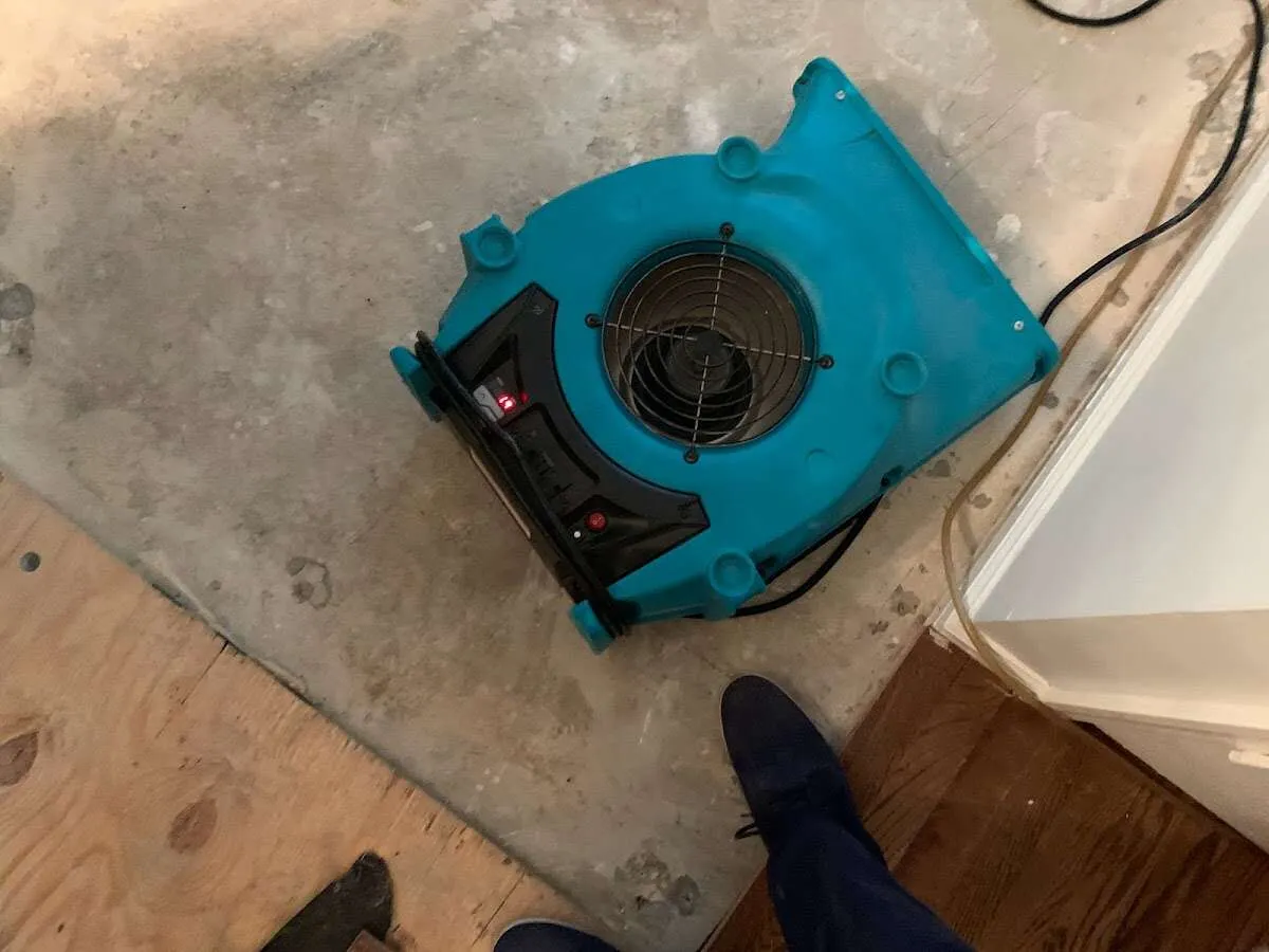 Air mover drying subfloor during Commercial Water Damage Restoration in Patterson